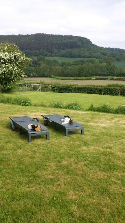 Upper Letton Farm Bed & Breakfast Leintwardine ภายนอก รูปภาพ