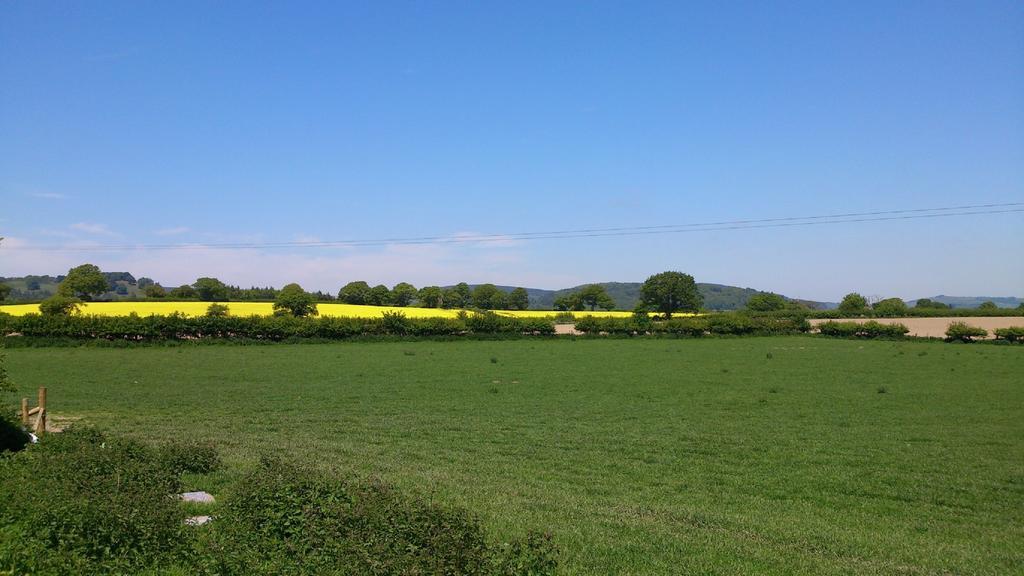 Upper Letton Farm Bed & Breakfast Leintwardine ภายนอก รูปภาพ